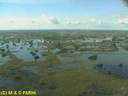 Survol de l'Okavango