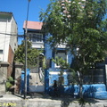 Vigna 007