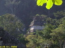 Pa1015