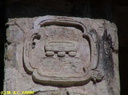 Pa1019
