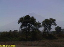 Voa003