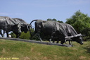 Monument de la Carreta 0003
