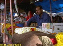 Ja2006 (919 visits) Ja2006