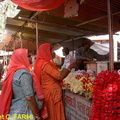 Ja2007
