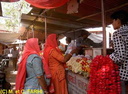 Ja2007 (982 visits) Ja2007