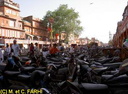 Ja2011 (1038 visits) Ja2011