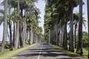 Guadeloupe