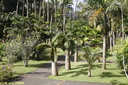 Jardin de Balata 06