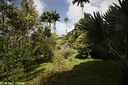 Jardin de Balata 14