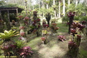 Jardin de Balata 16