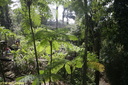 Jardin de Balata 40