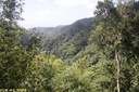 Jardin de Balata 41