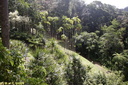 Jardin de Balata 42