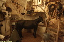 Matera