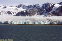 Glaciers Lilliehookfjord 007
