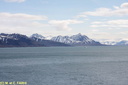 Vue mer Lilliehookfjord 014